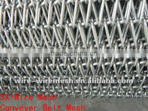 Best Quality Conveyor Belt Mesh-ISO9001:2000 Verified