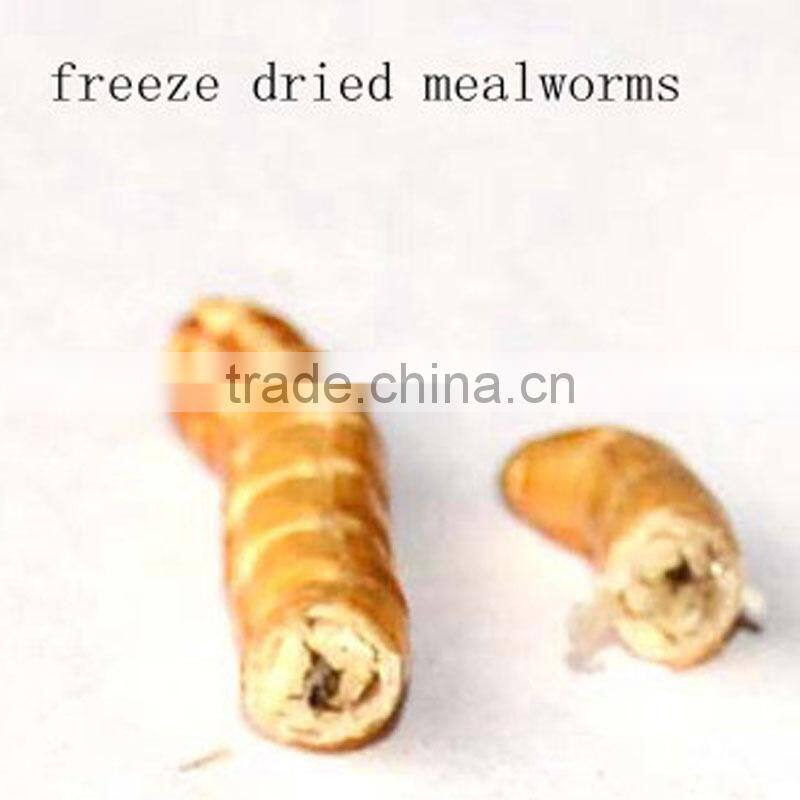 Pet food good quality High Protein 2.8 cm freeze Dried mealworm