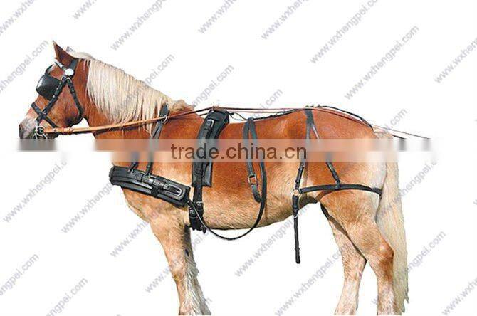 Europe Leather Halter / Padded Horse Halter