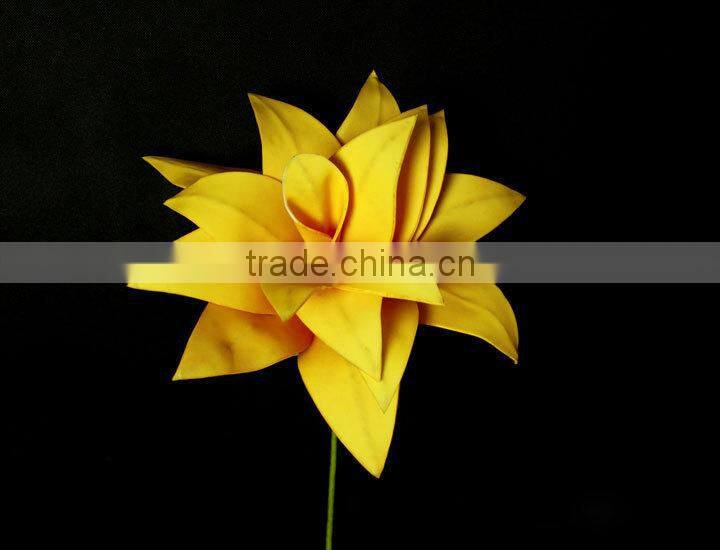 wholesale alibaba large indoor tropical plants
