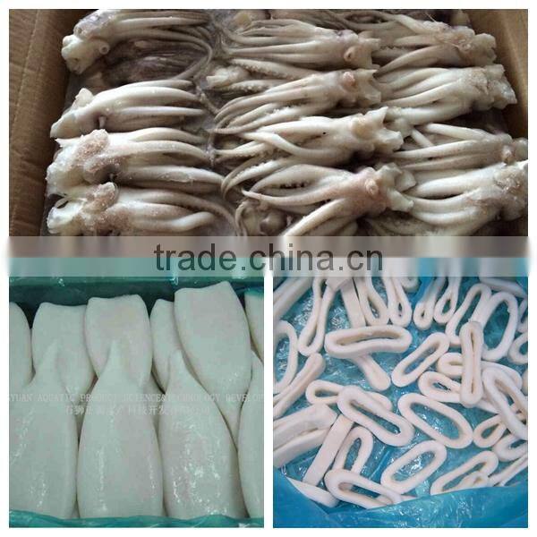 Frozen Squid Head Tentacles