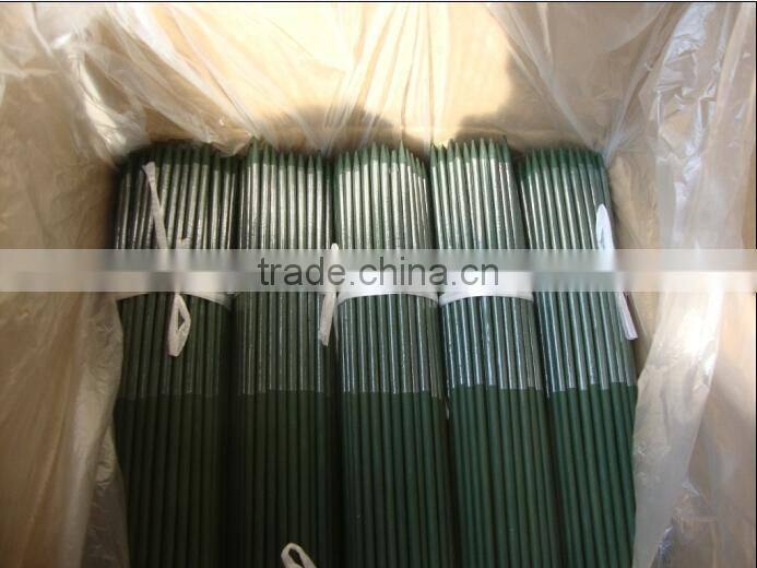Plastificated Bamboo Canes Poles Sticks