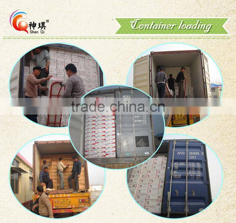 Vaccum bag pack yeast saccharomyces cerevisiae10g to 20kg China supplie