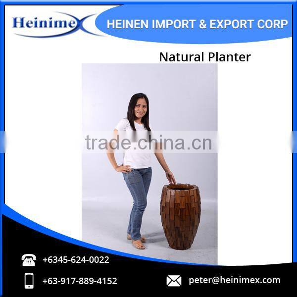 Acasia Wood and Fiber Glass Made Planters at Reasonable Price