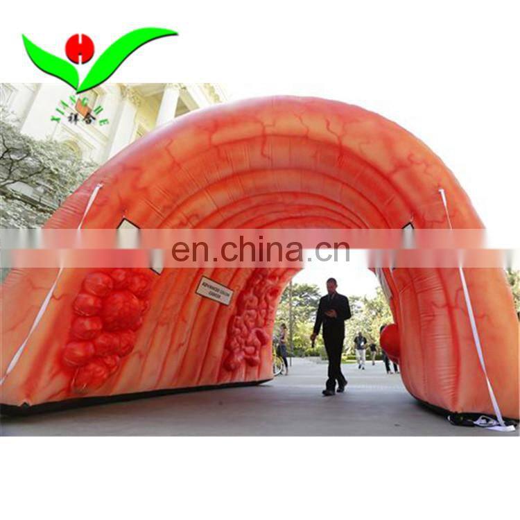 Indoor Super Colon inflatable tunnel rental