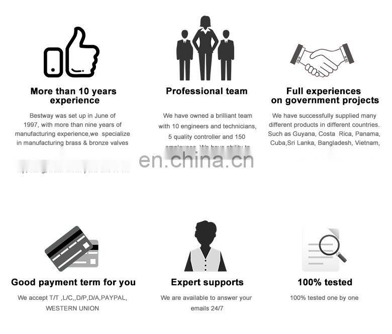 Lead Free Brass Pipe Fittings with ISO Certification