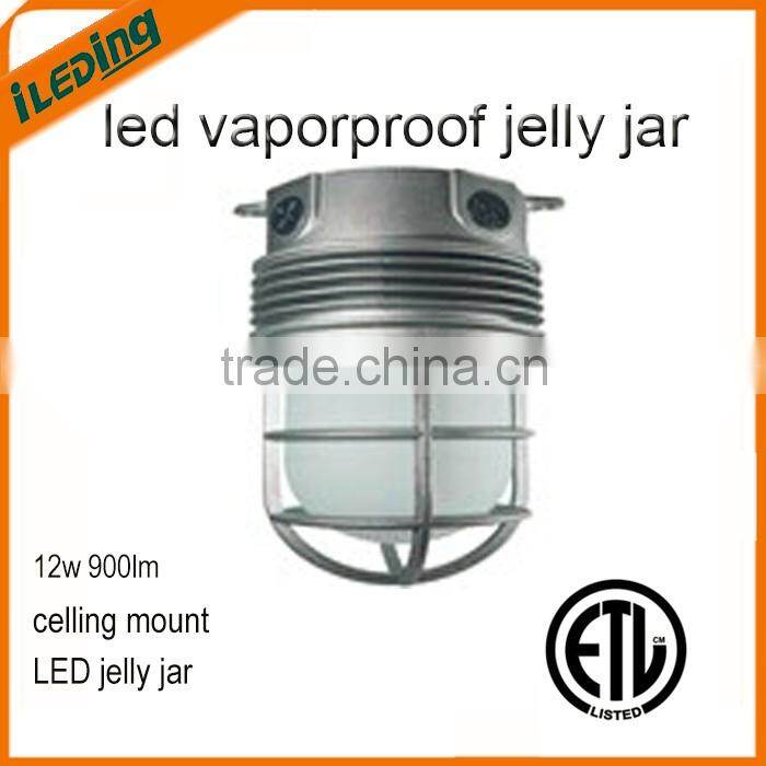 Replace incandescent and CFL fixtures LED Varporproof jelly jar