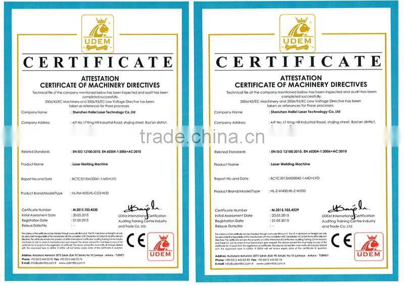 Hailei Factory laser marking machine wanted distributors worldwide optical glasses co2 laser focus lens