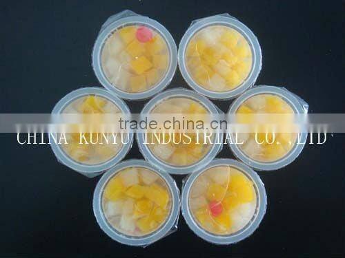 fruit cocktail in tins with high quality