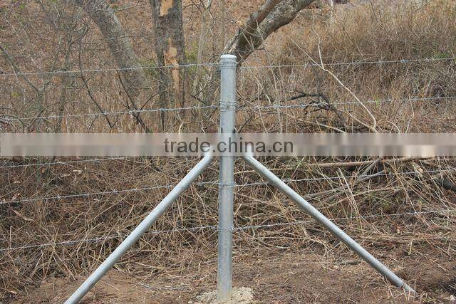 Hot Dipped Galvanized Barbed Wire/razor wire fence(HOT SALES)