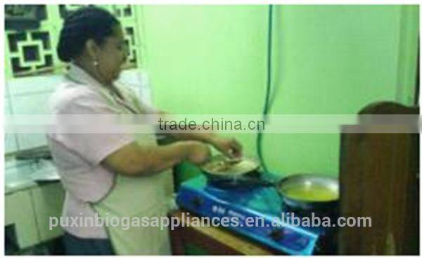 Effecient Gas Stove Single Burner Price for Cooking in Biogas