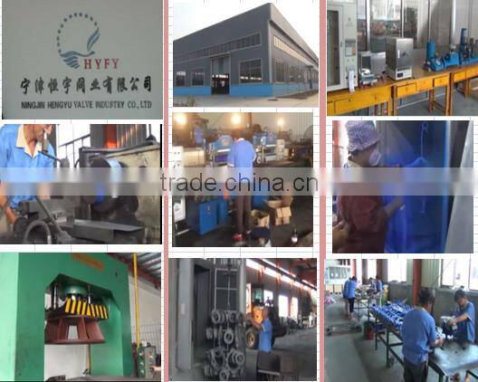 size DN50-DN350 PN25/PN40/CLASS 250 Double Disc. Wafer Check Valve