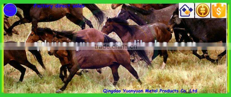 Factory direct selling for those who buy in bulk wholesale steel horseshoe