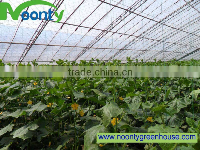 Commercial greenhouses