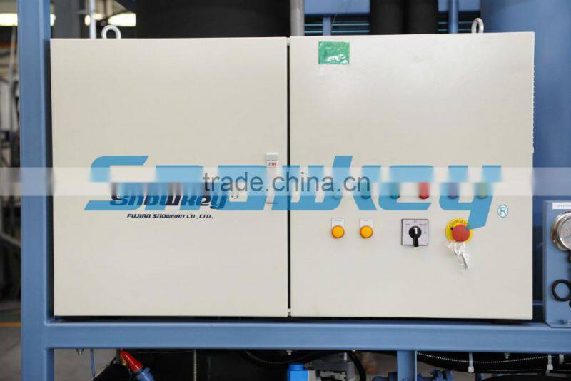 Commercial machine Hot sale Ice Tube Machine 3 Tons per day TIM30AF With Air Condenser for Paraguay