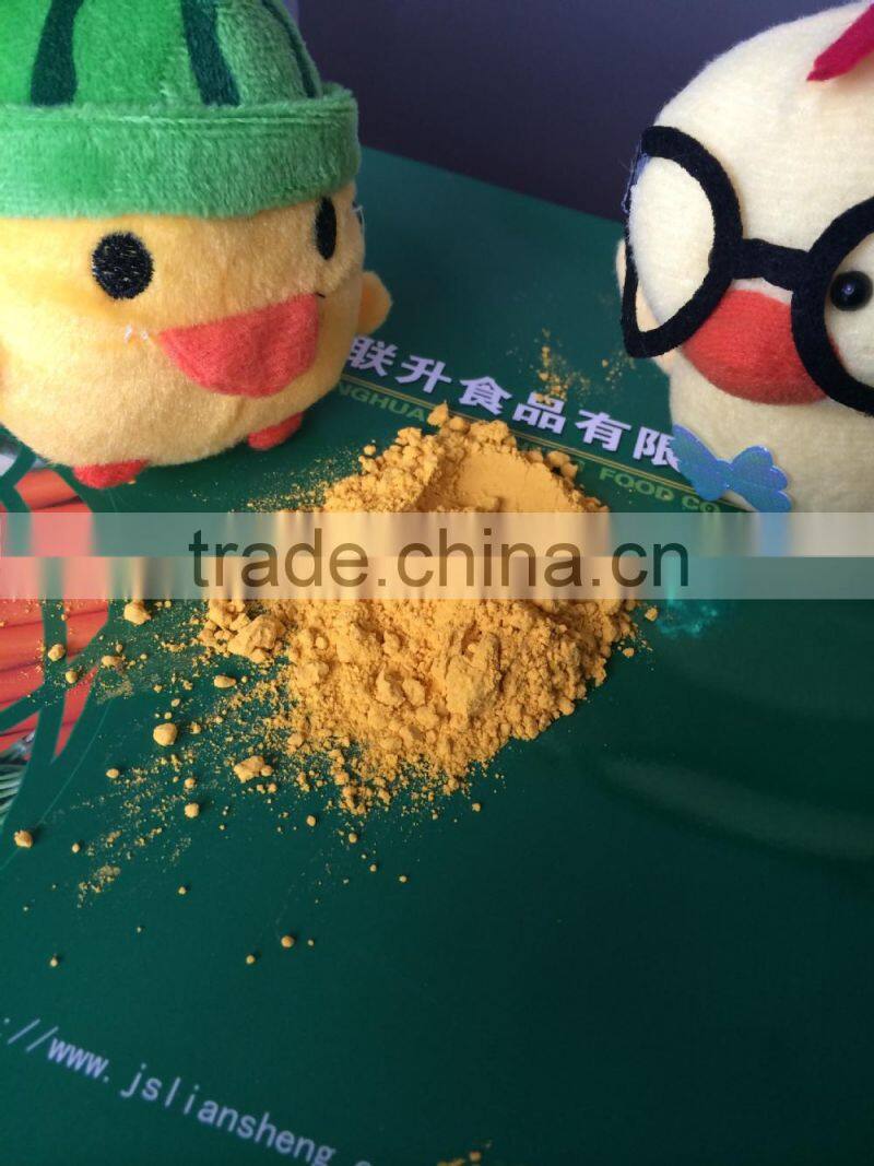 Dehydrated Pumpkin Powder