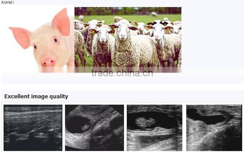 HandScan Veterinary Ultrasound Scanner/machine V7