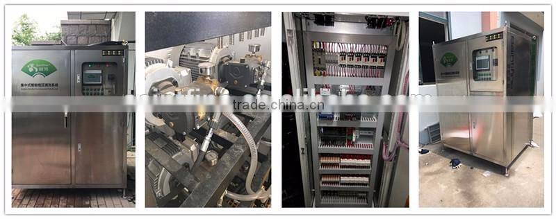 Multi-pump high pressure washer, washing system