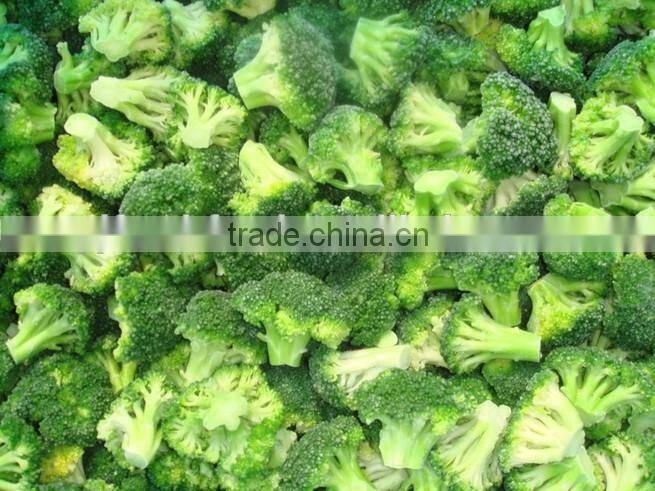 Frozen Broccoli Exporter