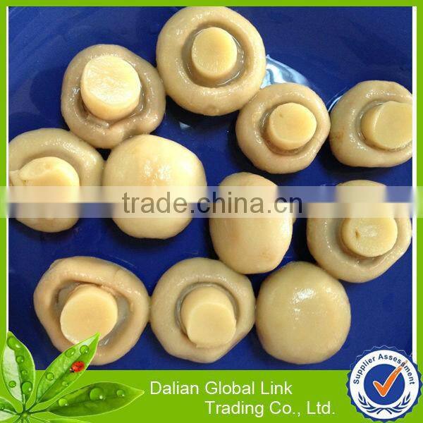 Chinese Canned King oyster mushroom