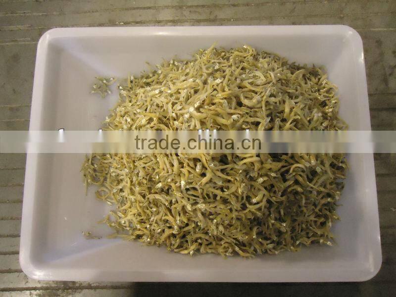 Dried Anchovy Fish in zhoushan china
