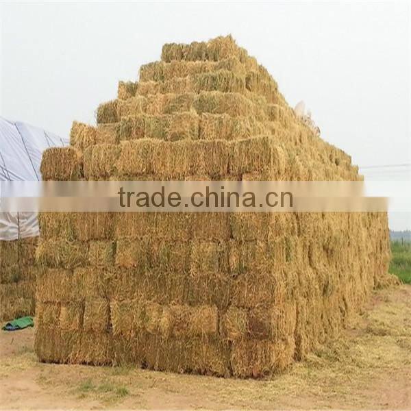 factory price and manufacturer hydraulic waste cotton bailing press machine