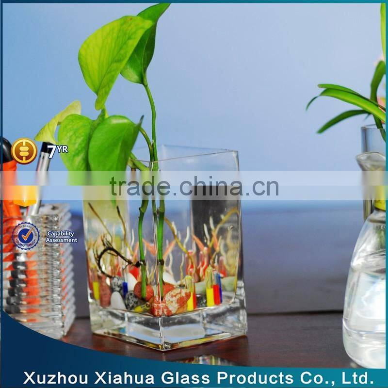 rectangle glass terrarium