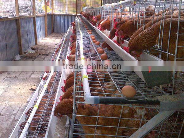 TAIYU Best Sale Chicken Egg Layer Cages System