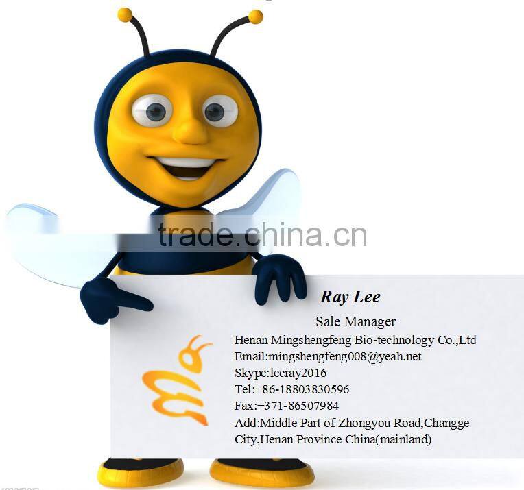 Factory price stainless steel bee smoker with heat shield