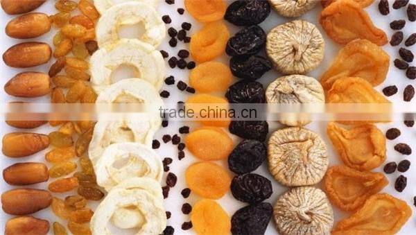 Hot selling tangerine drying oven/tangerine dryer machine with low price