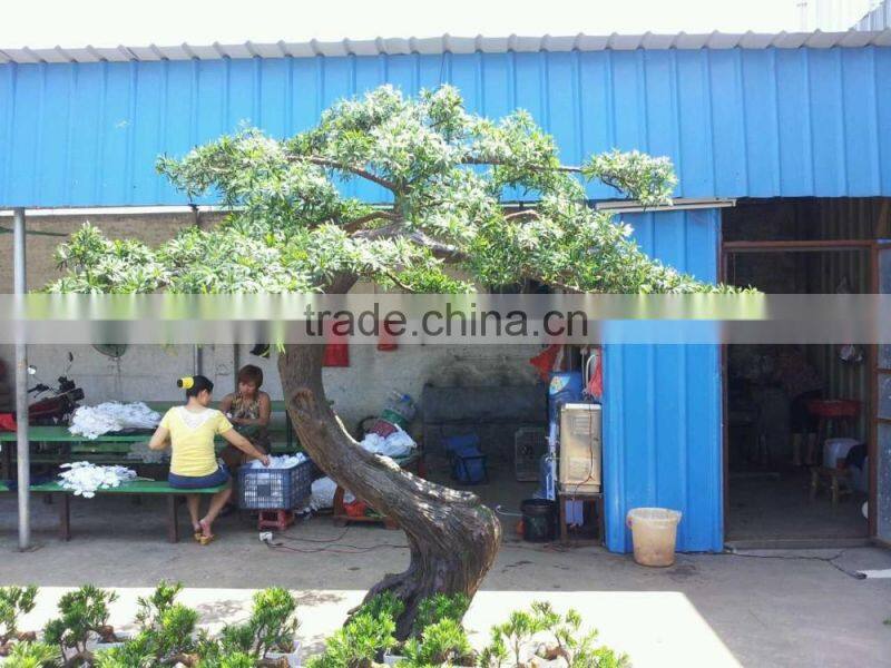 Factory supply artificial podocarpus tree