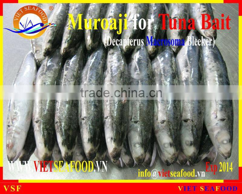MUROAJI FOR TUNA BAIT