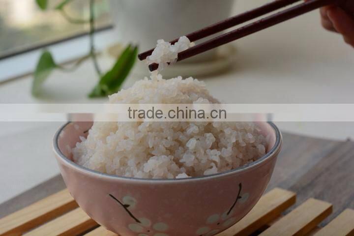 Low calories diet food, shirataki konjac pasta,vegan instant noodles like real rice