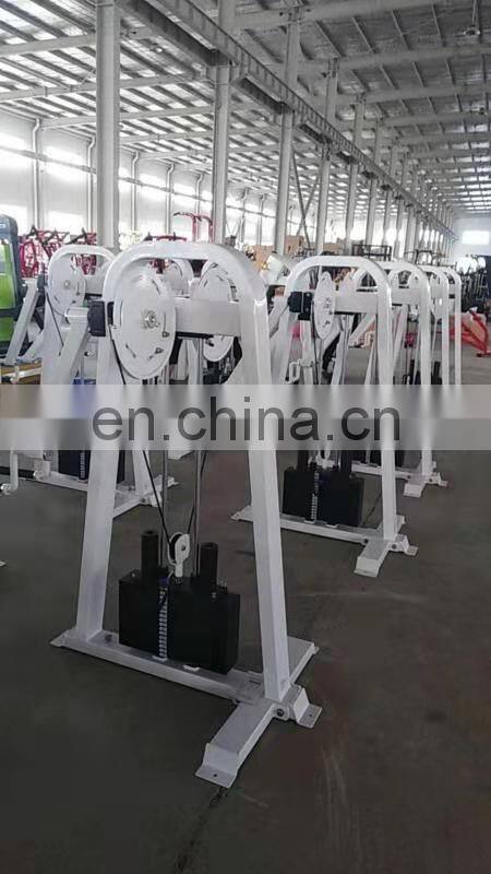 Professional Fitness Gym Equipment Shoulders Cable Standing Lateral Raise Machine Standing Lateral shoulder equipment TT72A