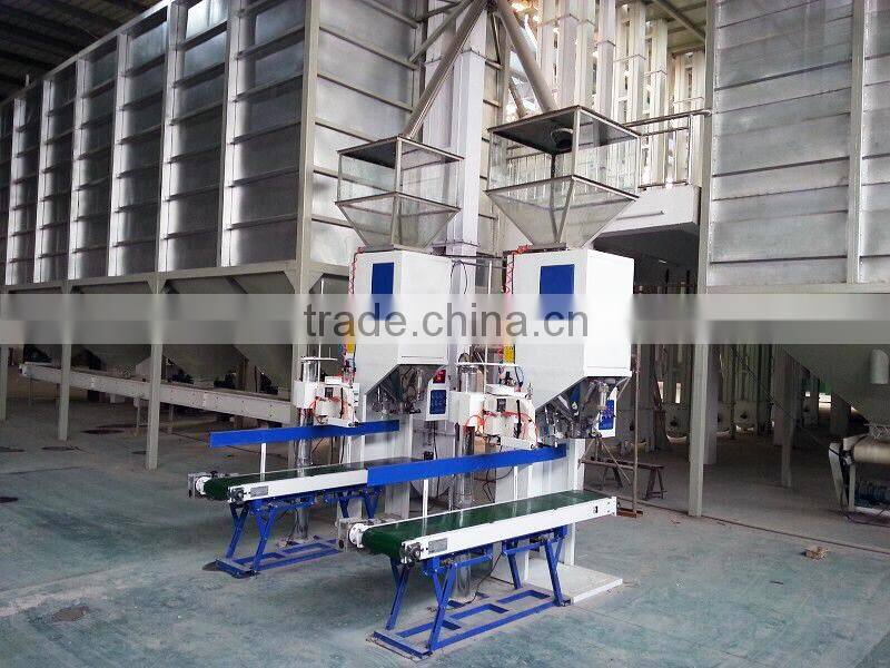 DCS-100A Electronic quantitative packing scale