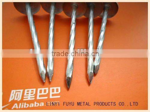 umbrella head roofing nail with twisted shank