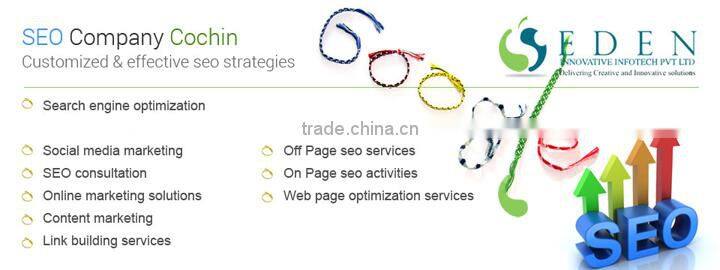 professional website design and seo