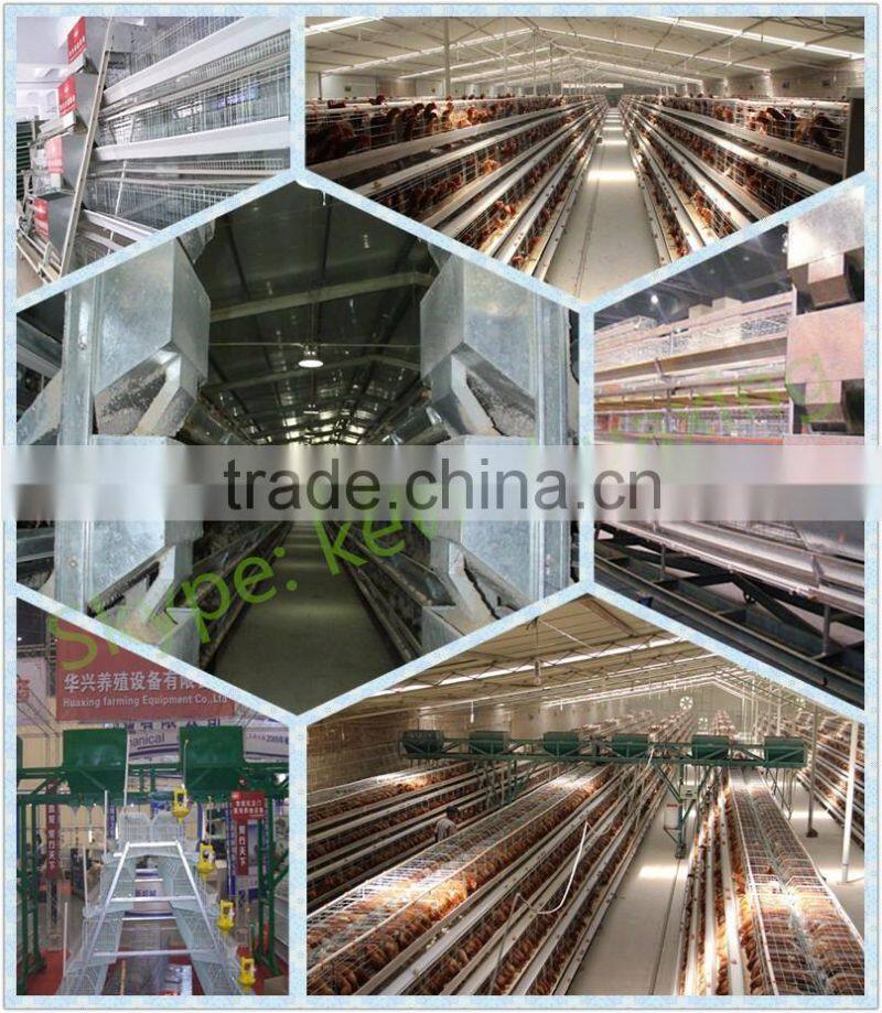 broiler battery cages with automatic system