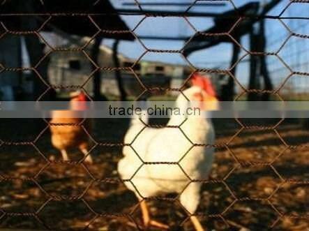 High quality Galvanized iron cheap hexagonal wire mesh