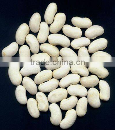 Canned Kidney Beans Canned White Beans in Brine