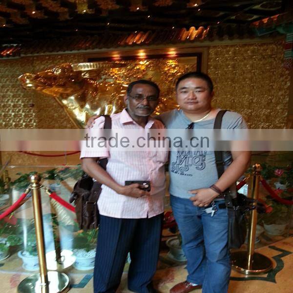 YTG series mobile lifting rabidly feeder