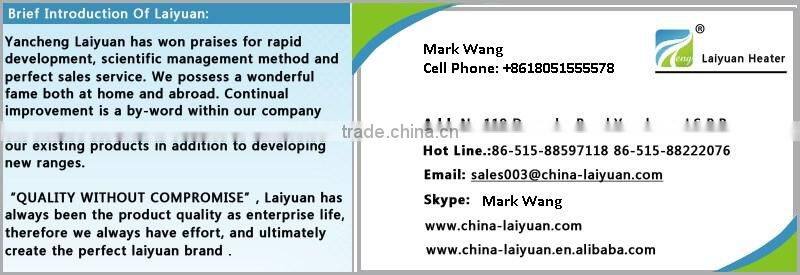 Imported ceramic clay 650W cured IR Ceramic Heater