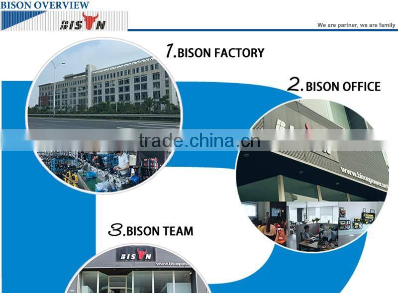 BISON(CHINA) 5kw diesel generator sliencers price single cylinder generator