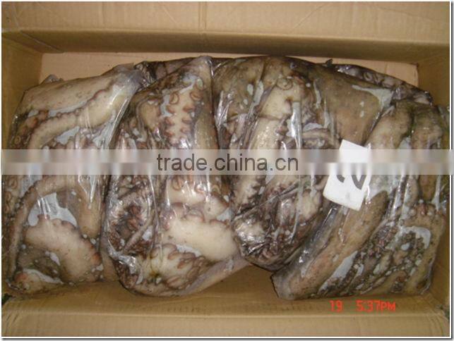 Seafrozen Octopus Whole Round from Morocco
