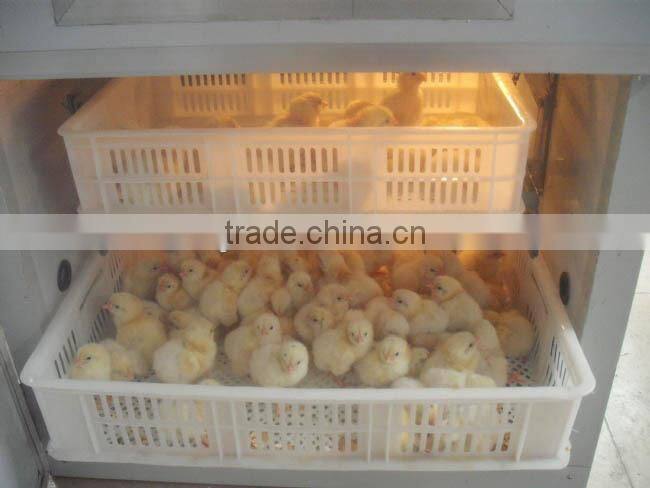 3 years Warranty egg incubator in dubai 008613673685830