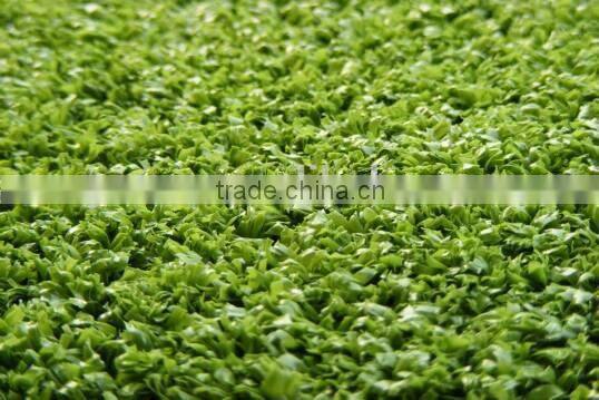 Grass for Tennis Court and Racetrack