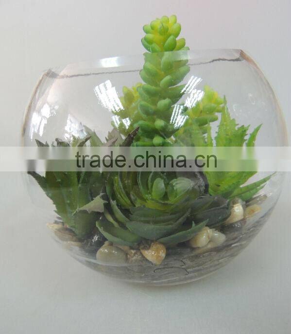 high quality with glass ball plants for home decoration