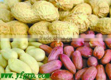 groundnut blanched peanuts from chinese plant