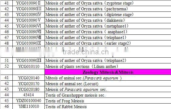 botany and zoology Mitosis Meiosis prepared slides set for higher education