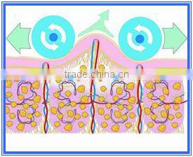 Weight Loss Spa 5IN1 Cavitation Vacuum RF Cooling Vacuum System Slimming Machine